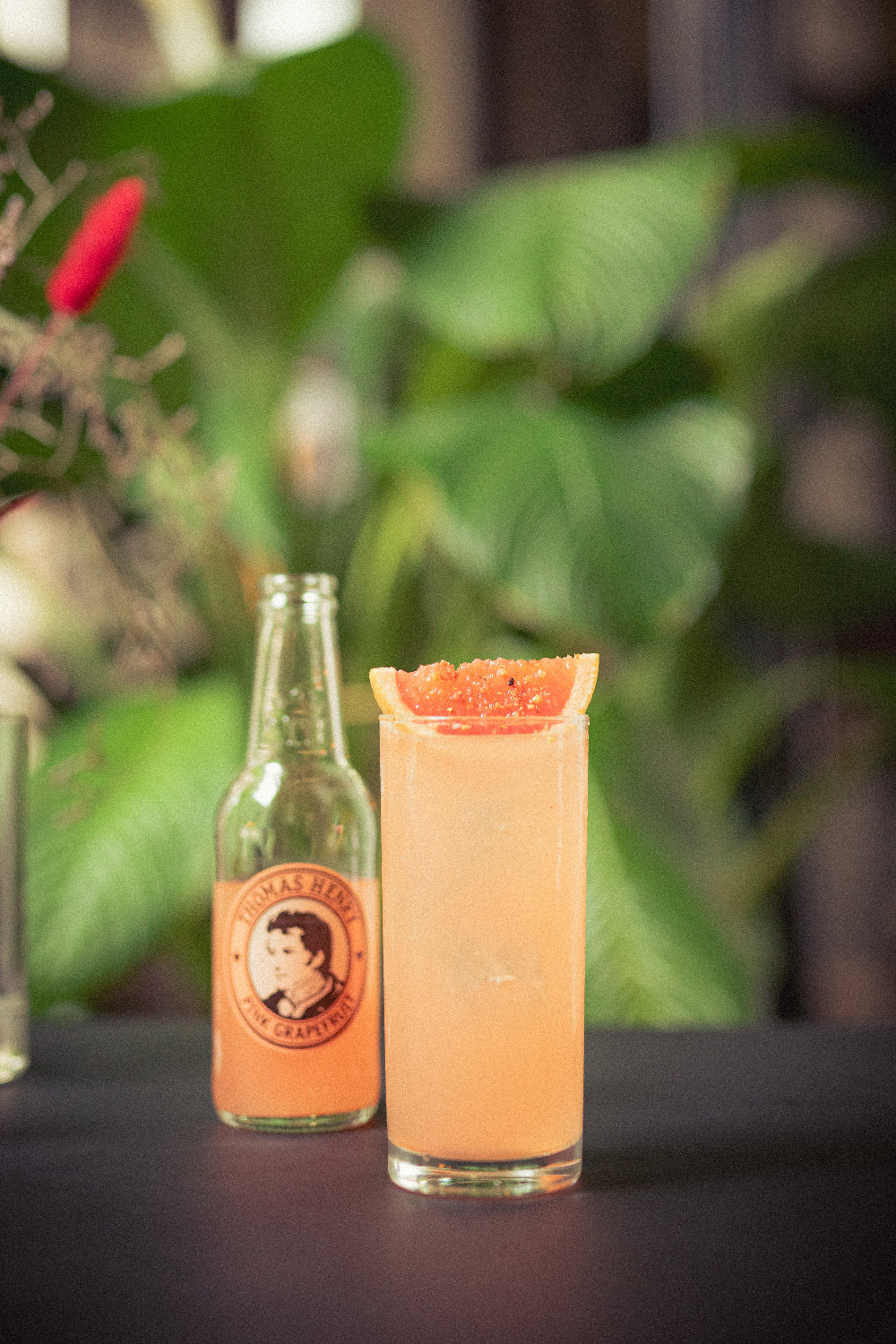 Paloma Party Bundle